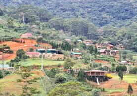 CHỈ ĐẠO MỚI NHẤT CỦA LÂM ĐỒNG VỀ VIỆC CHẤP THUẬN CÁC DỰ ÁN MỚI LIÊN QUAN ĐẾN RỪNG, ĐẤT LÂM NGHIỆP