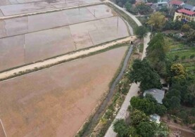 NHỮNG ĐIỂM MỚI CỦA ĐẤT NÔNG NGHIỆP TRONG LUẬT ĐẤT ĐAI 2024 SO VỚI LUẬT 2013