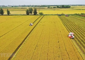 NHIỀU CHÍNH SÁCH MỚI ĐỘT PHÁ VỀ ĐẤT NÔNG NGHIỆP TRONG LUẬT ĐẤT ĐAI (SỬA ĐỔI)