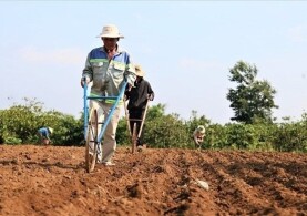 CÓ ĐƯỢC CHUYỂN ĐỔI CƠ CẤU CÂY TRỒNG TRÊN ĐẤT TRỒNG LÚA THEO LUẬT ĐẤT ĐAI MỚI?