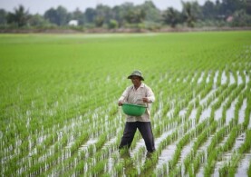 MỚI NHẤT VỀ GIÁ THU THUẾ SỬ DỤNG ĐẤT NÔNG NGHIỆP