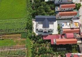 KHÔNG SỬ DỤNG ĐẤT TRỒNG CÂY HÀNG NĂM 12 THÁNG LIÊN TỤC BỊ PHẠT THẾ NÀO?