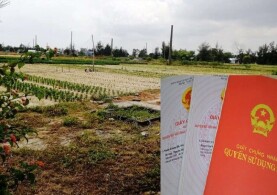 NGƯỜI CÓ ĐẤT NÔNG NGHIỆP BỊ THU HỒI SẼ ĐƯỢC ĐỀN BÙ THẾ NÀO TỪ NĂM 2025?