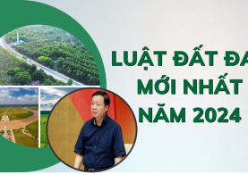 KẾT LUẬN CỦA PHÓ THỦ TƯỚNG CHÍNH PHỦ VỀ ĐỀ XUẤT CHO LUẬT ĐẤT ĐAI CÓ HIỆU LỰC SỚM