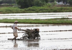 TẬP TRUNG, TÍCH TỤ ĐẤT NÔNG NGHIỆP THEO QUY ĐỊNH MỚI