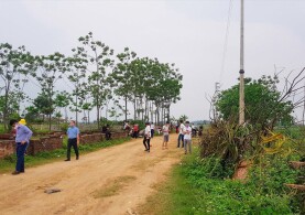 THỊ TRƯỜNG BẤT ĐỘNG SẢN CHUẨN BỊ ĐÓN “SÓNG HỒI”?