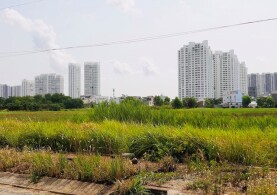 RÀ SOÁT HOÀN THIỆN QUY ĐỊNH VỀ PHƯƠNG PHÁP XÁC ĐỊNH GIÁ ĐẤT